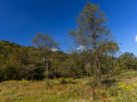 Zatwarnica